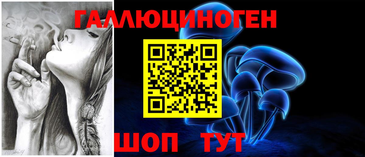 Галлюциногенные грибы Psilocybe Астрахань