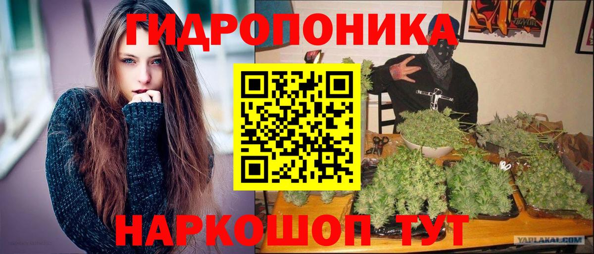 Бошки Шишки MAZAR  Марихуана гибрид  Каннабис LSD WEED  Астрахань  Вход с VPN  Конопля сатива 